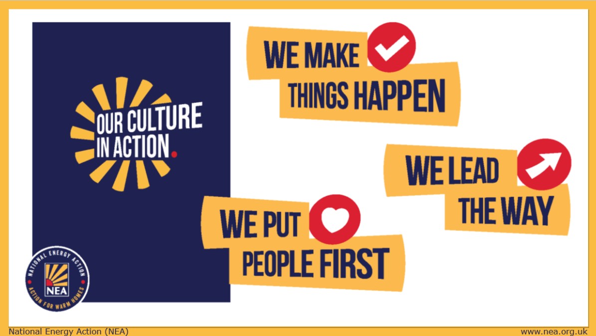 National Energy Action values