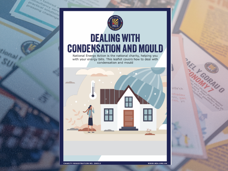 Leaflet cover dealing with condensation and mould