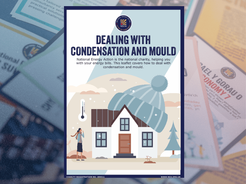 Leaflet damp and mould NI
